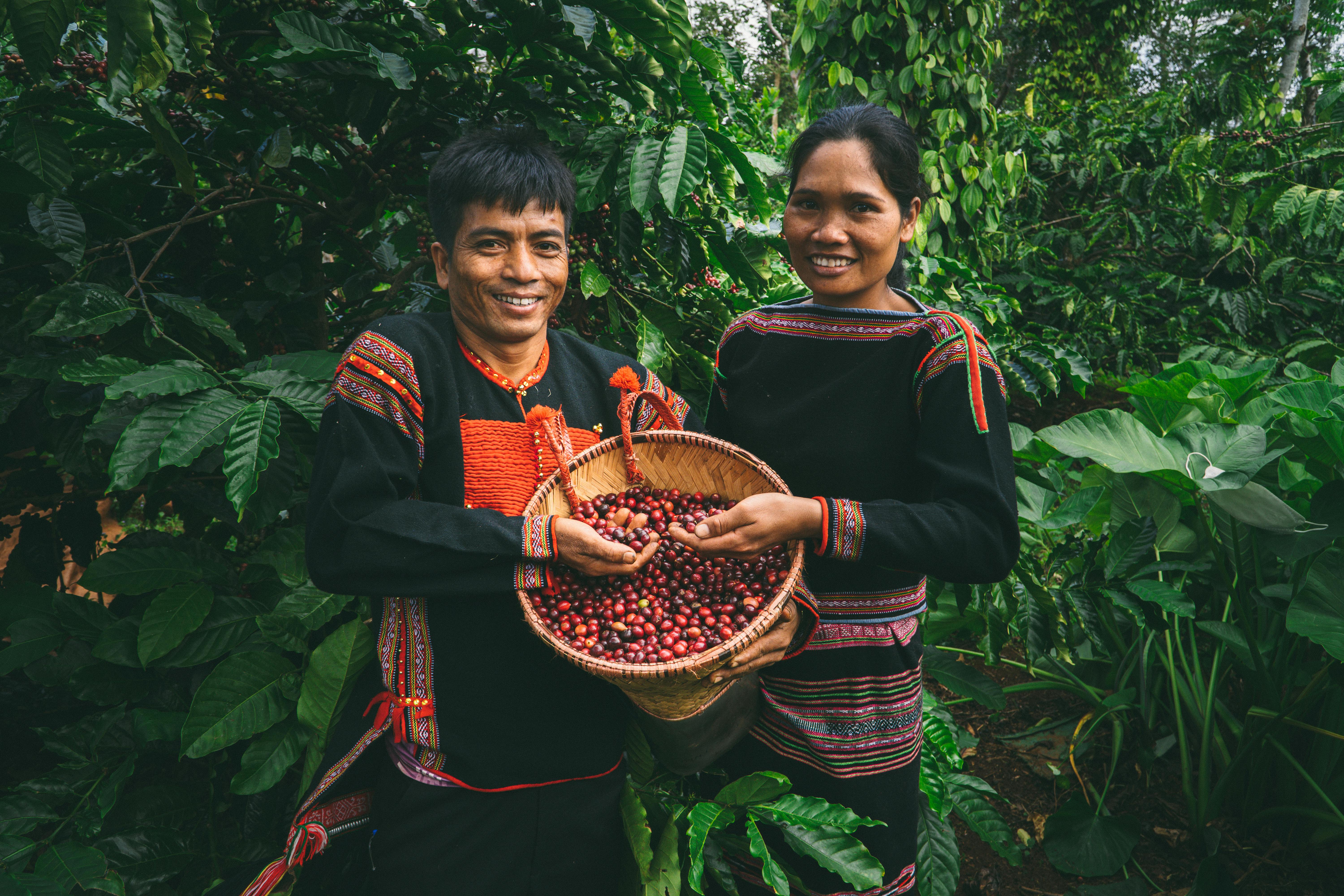 Dak Lak Coffee Growing Area