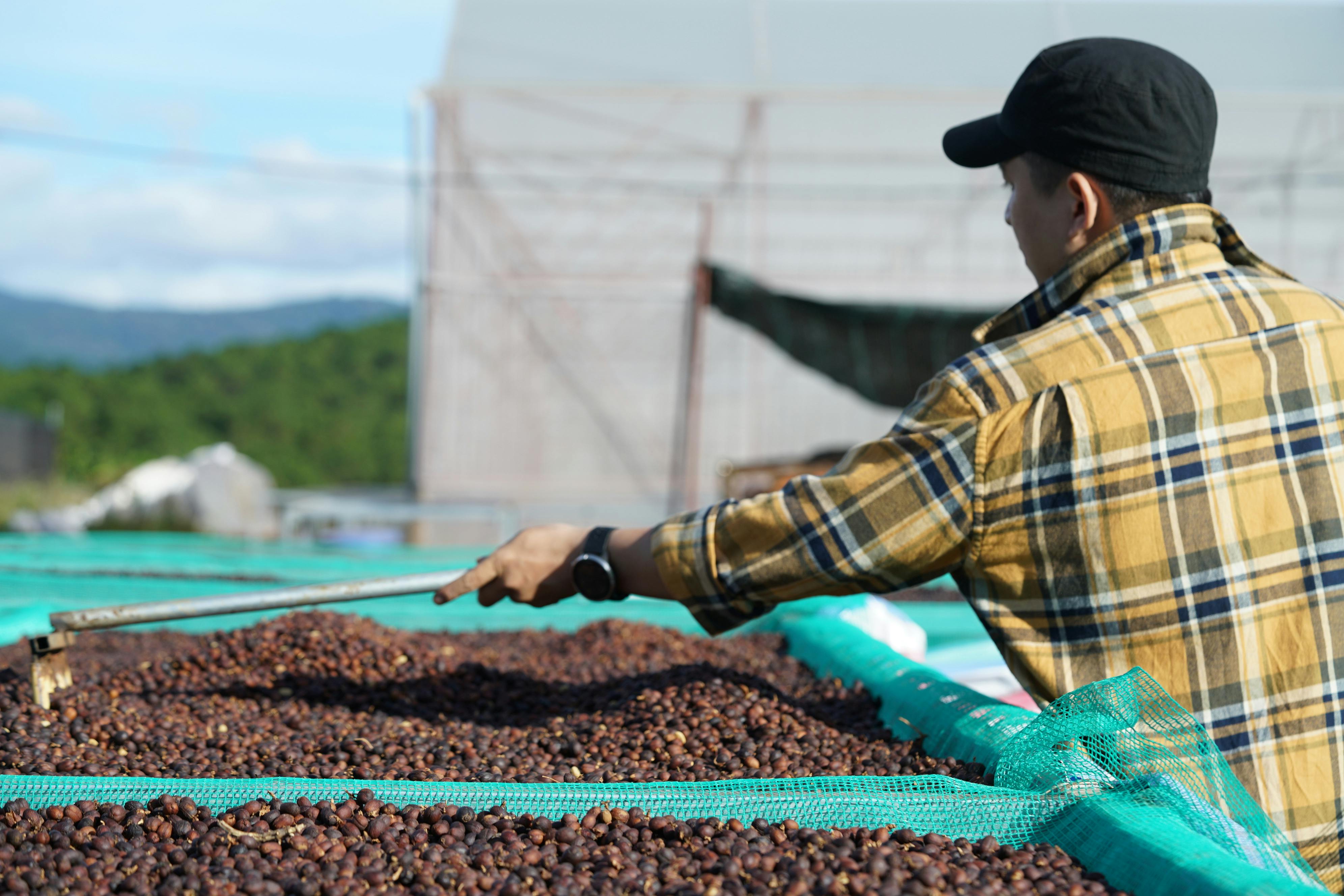 Natural Process Coffee